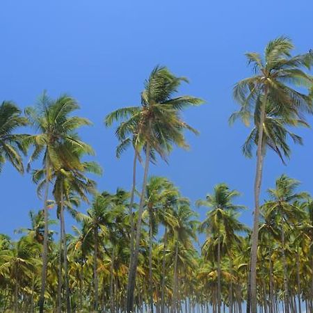 Tiara Fiesta Beach Cottages Morjim Bagian luar foto